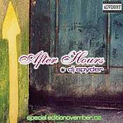 "After Hours" (Mixed by DJ Spyder)