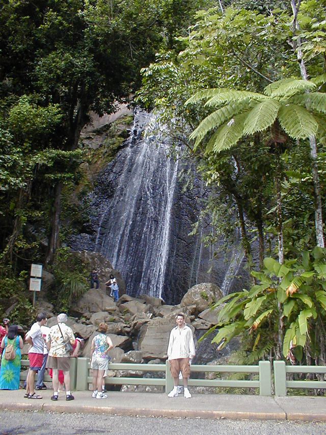 El Yunque - La Coca falls - Spyder