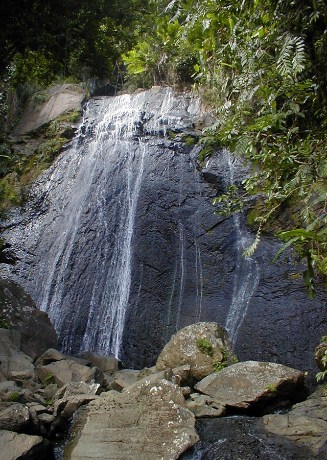 El Yunque - La Coca falls view of top